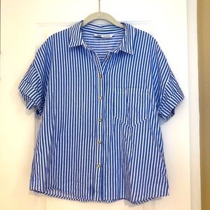 ZARA Blue Button Down Striped Top